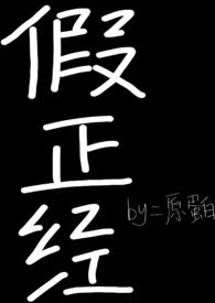 假正经小说晋江